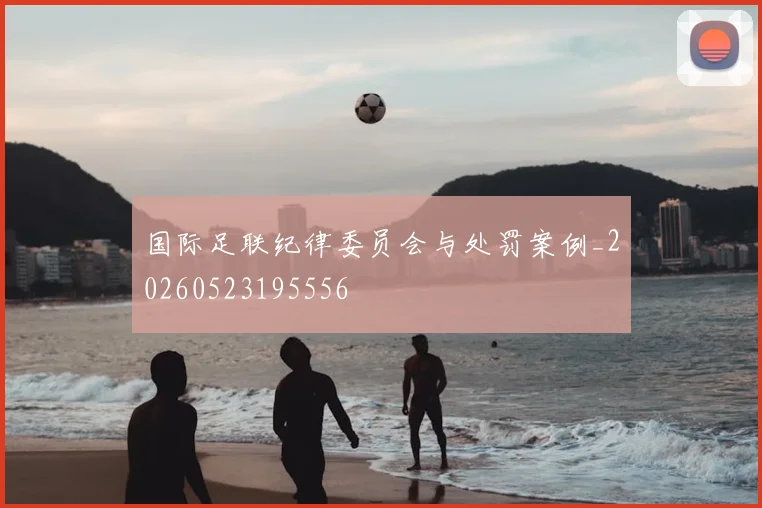 国际足联纪律委员会与处罚案例_20260523195556