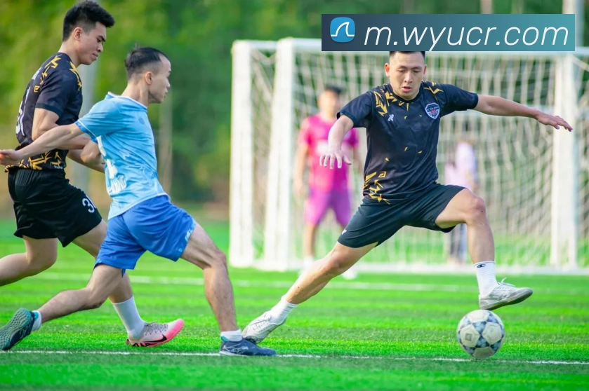 数据分析功能